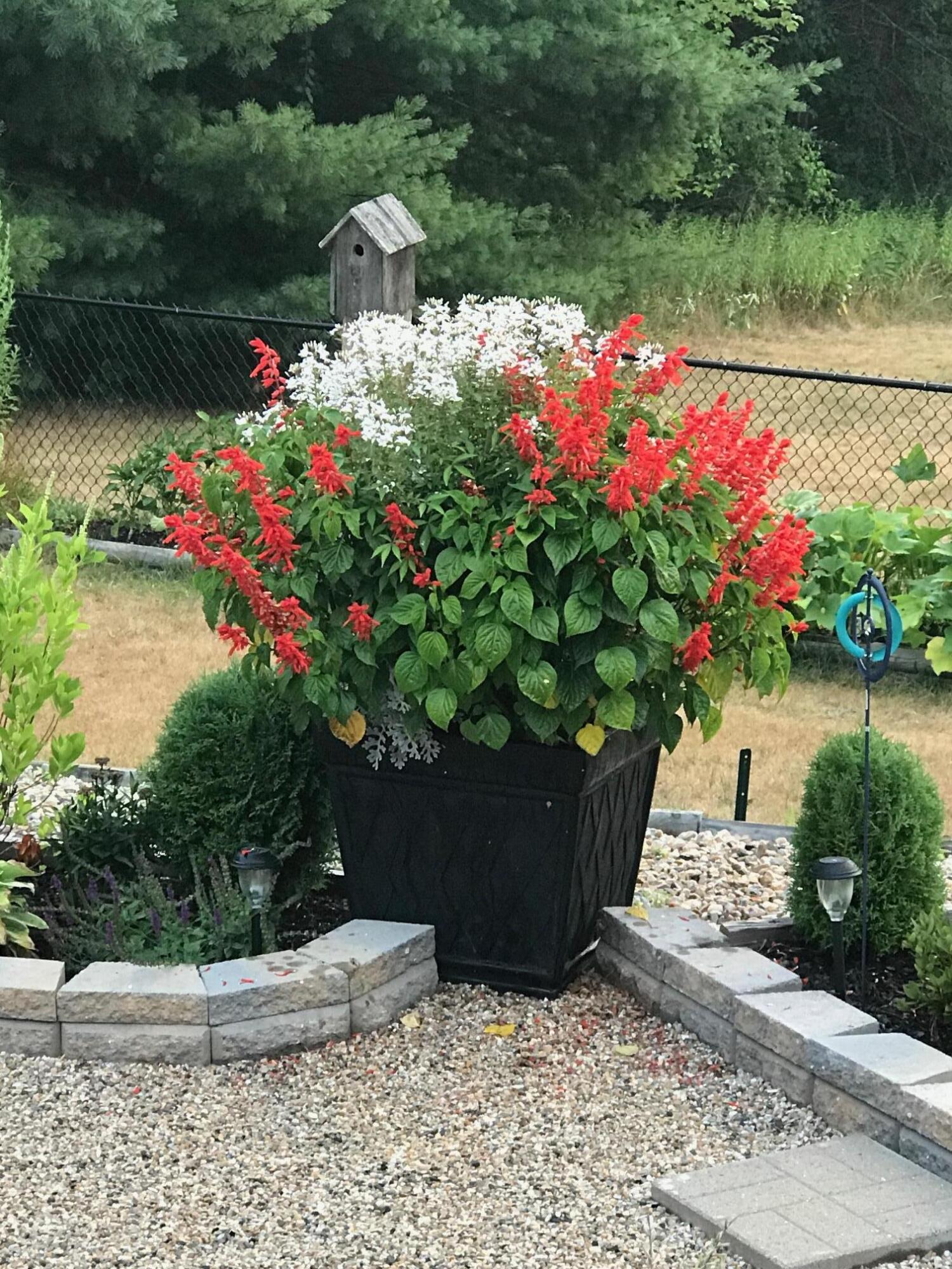 10 Twin Pond Road Topsham, ME 04086 - Photo 72 of 94 IMG_0025