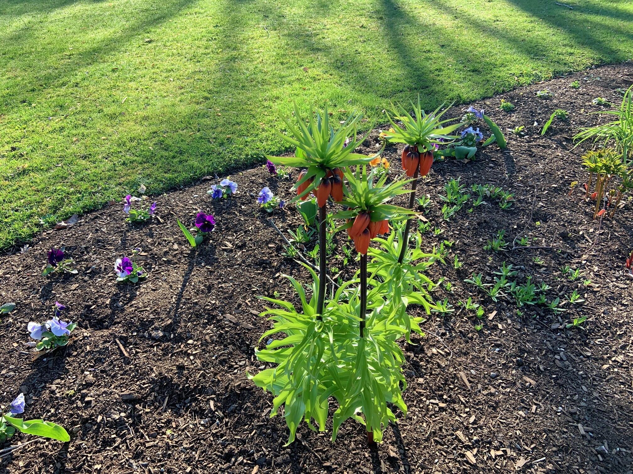 10 Twin Pond Road Topsham, ME 04086 - Photo 76 of 94 IMG_0490