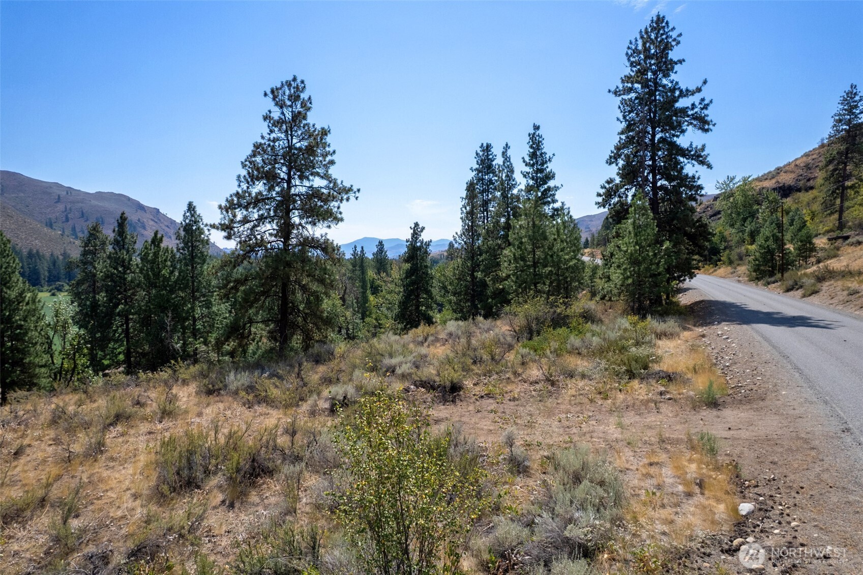 600 West Chewuch Road Winthrop, WA 98862 - Photo 11 of 20 a view of a forest with trees in the background