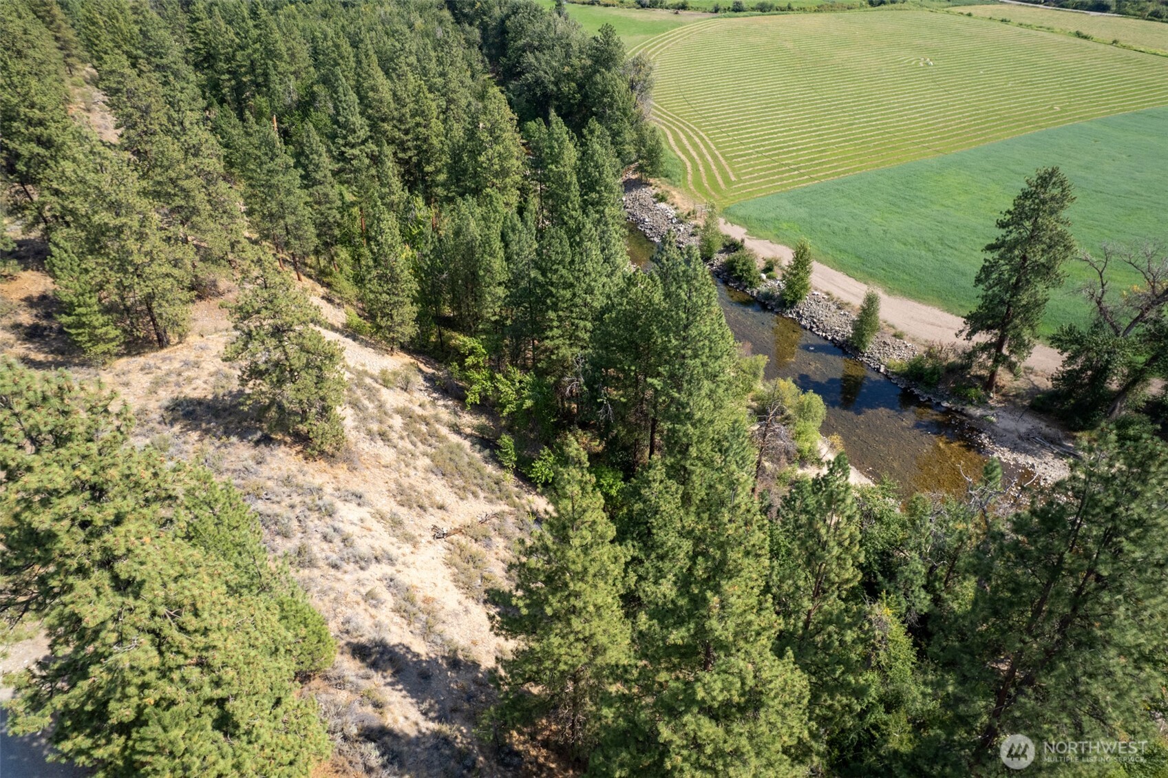 600 West Chewuch Road Winthrop, WA 98862 - Photo 19 of 20 a view of a lake with beach and large trees