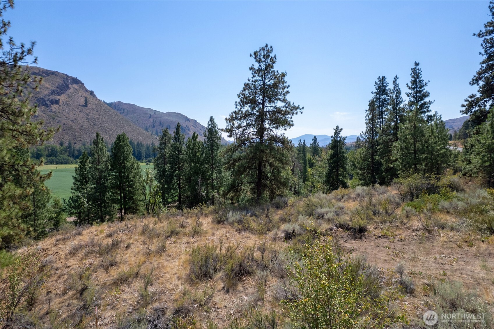 600 West Chewuch Road Winthrop, WA 98862 - Photo 20 of 20 a view of a forest with a tree in the background