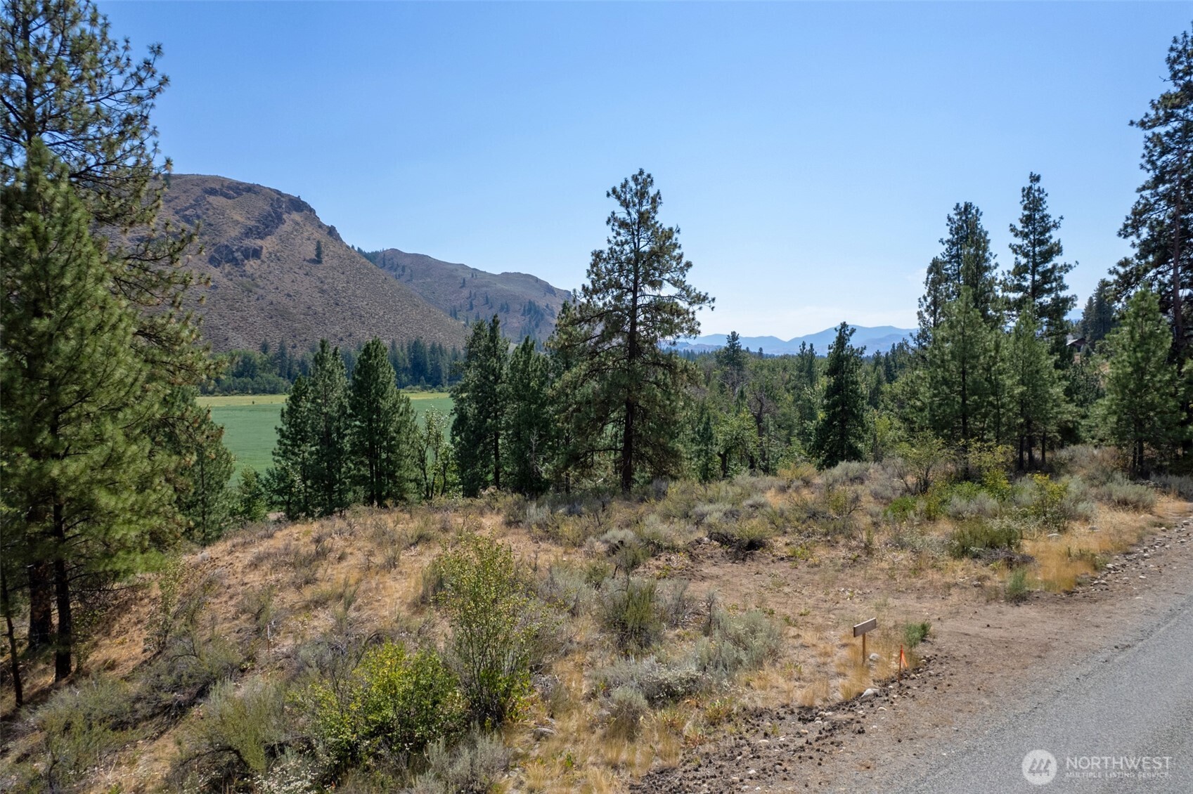 600 West Chewuch Road Winthrop, WA 98862 - Photo 3 of 20 a view of a dry yard with trees in the background