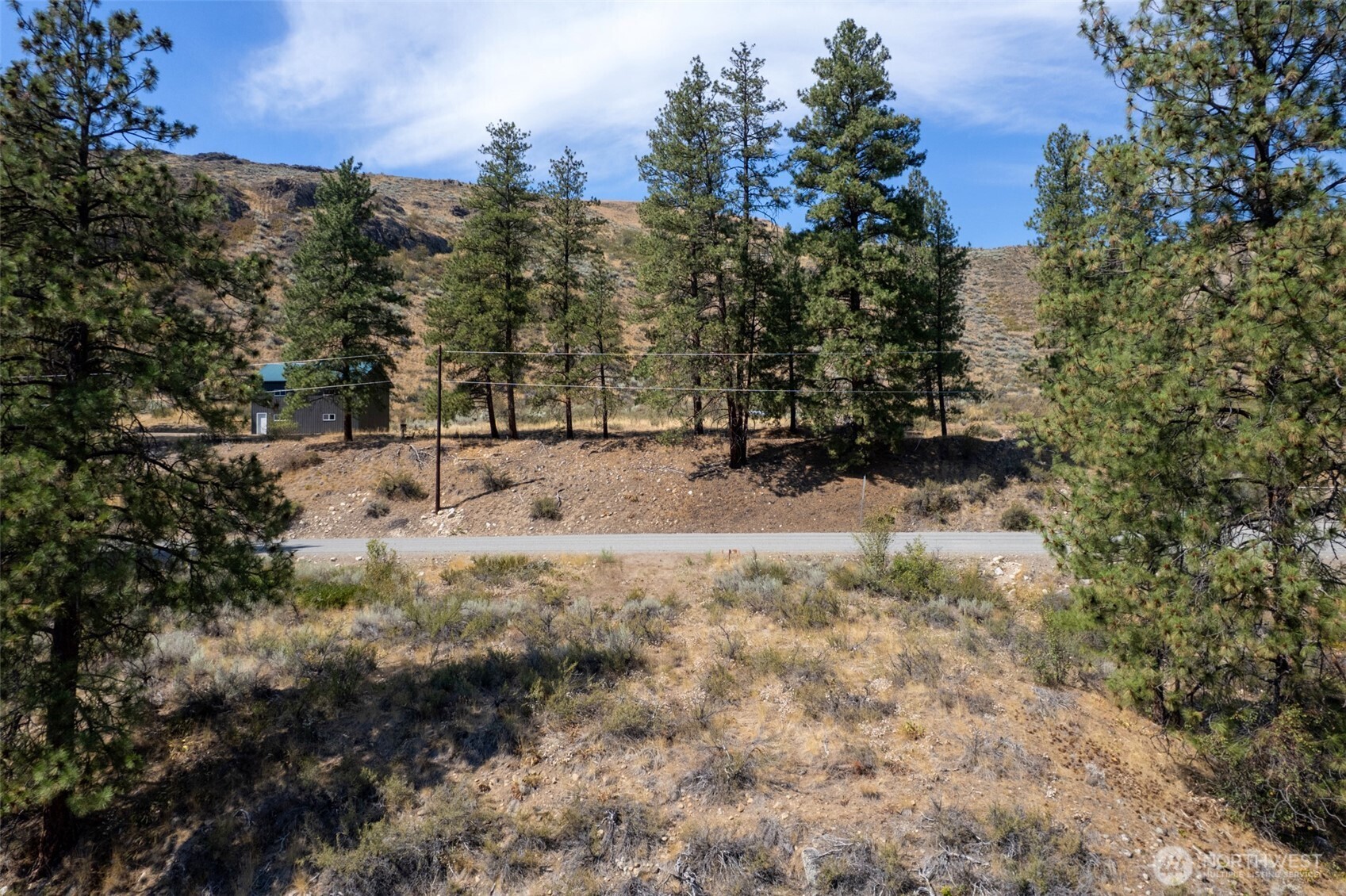 600 West Chewuch Road Winthrop, WA 98862 - Photo 4 of 20 a view of a yard covered with trees