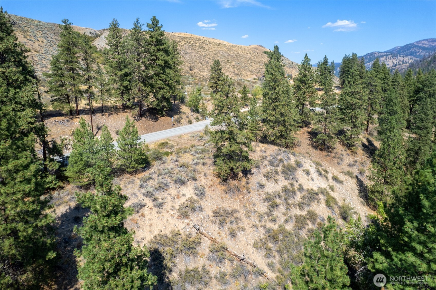 600 West Chewuch Road Winthrop, WA 98862 - Photo 8 of 20 a view of a forest with trees in the background