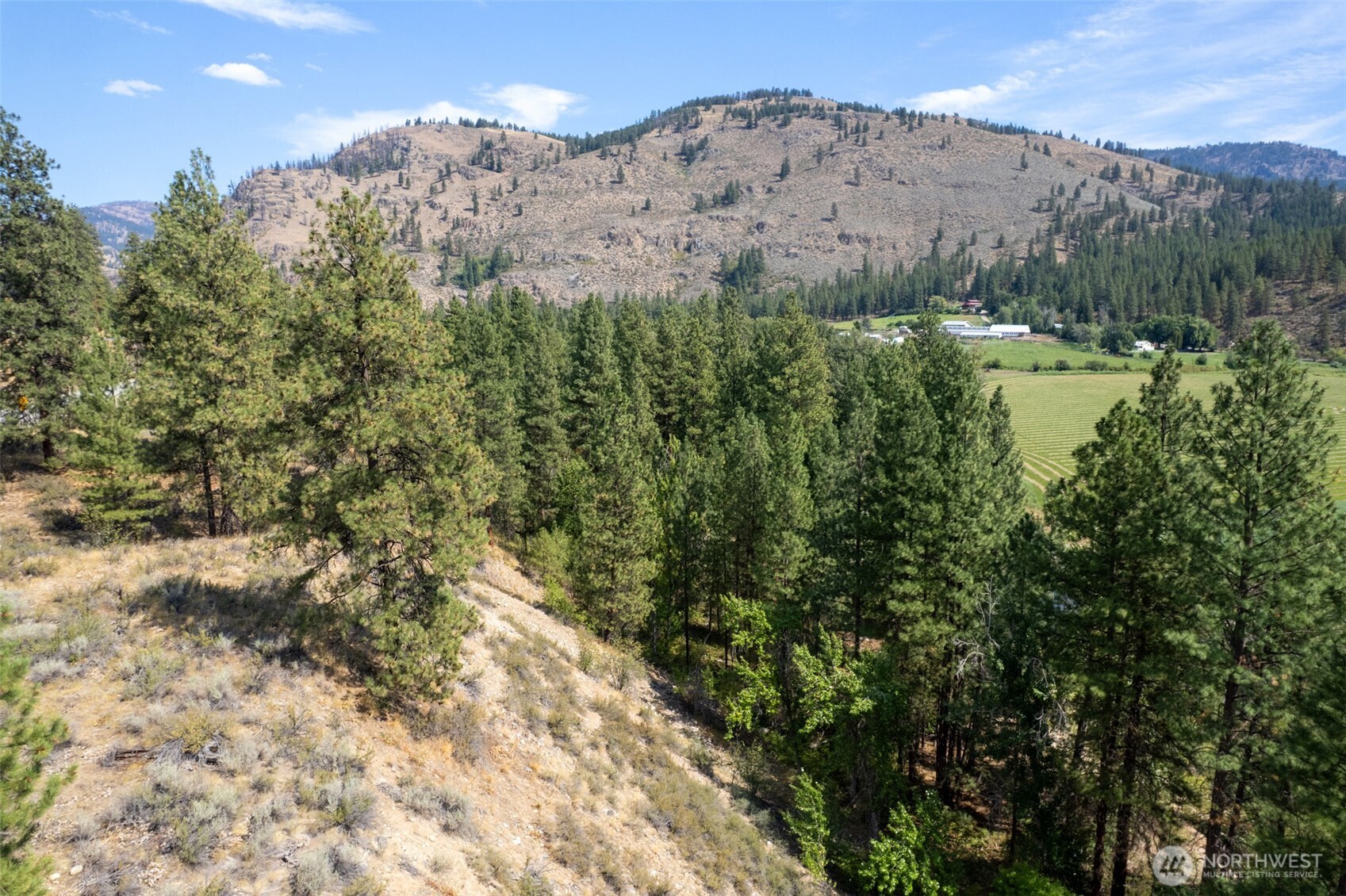 600 West Chewuch Road Winthrop, WA 98862 - Photo 9 of 20 a view of a houses with a mountain and a forest