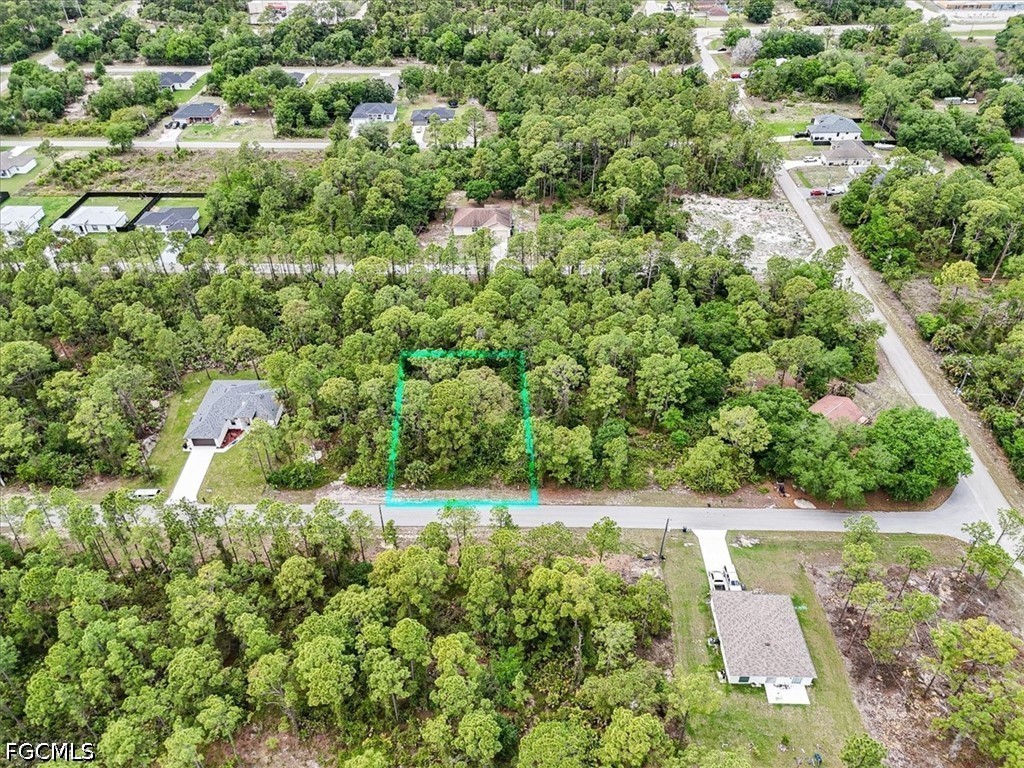 2117 Grayson Avenue Alva, FL 33920 - Photo 1 of 19 an aerial view of residential house with outdoor space and trees all around