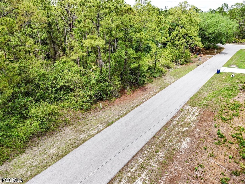 2117 Grayson Avenue Alva, FL 33920 - Photo 15 of 19 a view of a garden