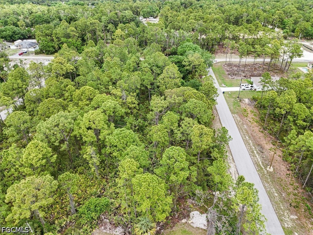2117 Grayson Avenue Alva, FL 33920 - Photo 19 of 19 a view of a garden