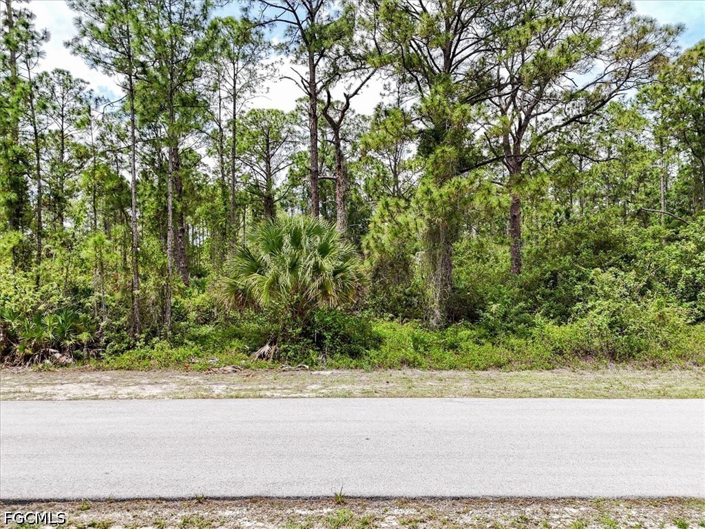 2117 Grayson Avenue Alva, FL 33920 - Photo 2 of 19 a view of a garden with plants