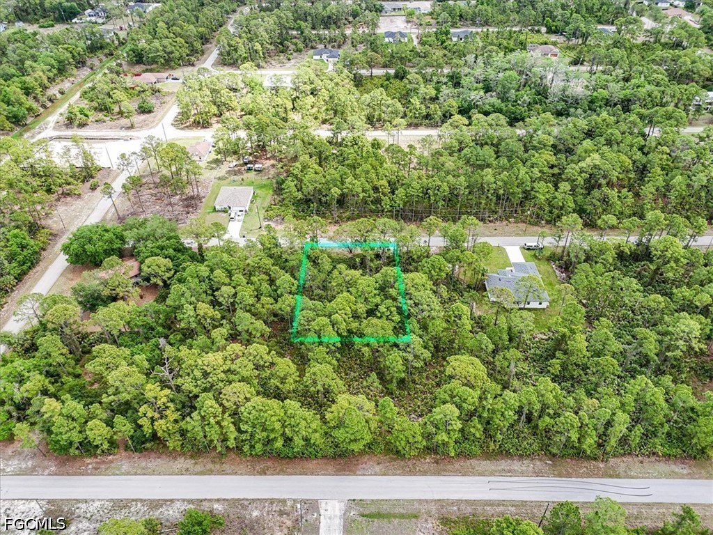 2117 Grayson Avenue Alva, FL 33920 - Photo 3 of 19 a view of a yard
