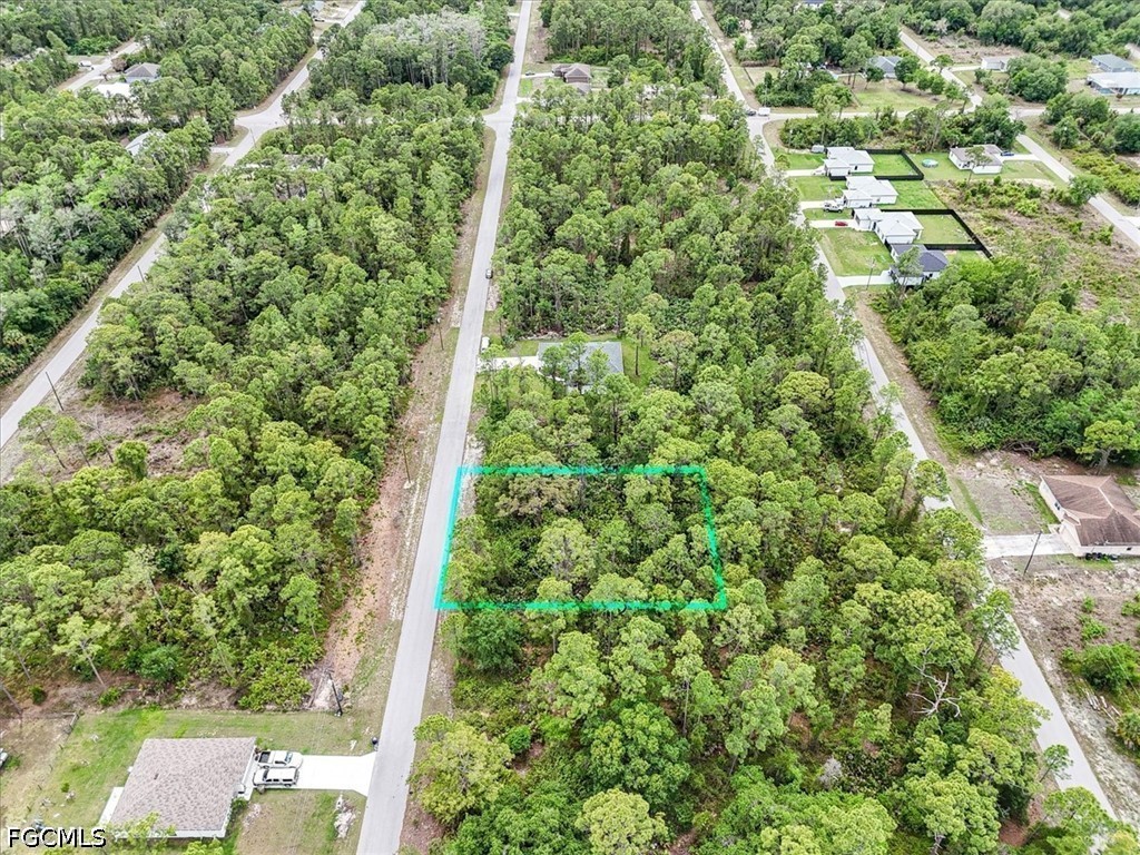 2117 Grayson Avenue Alva, FL 33920 - Photo 4 of 19 an outdoor view of a forest