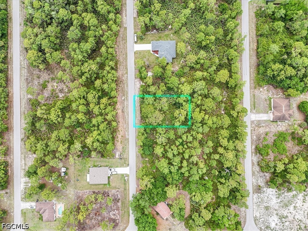 2117 Grayson Avenue Alva, FL 33920 - Photo 5 of 19 a view of a outdoor space