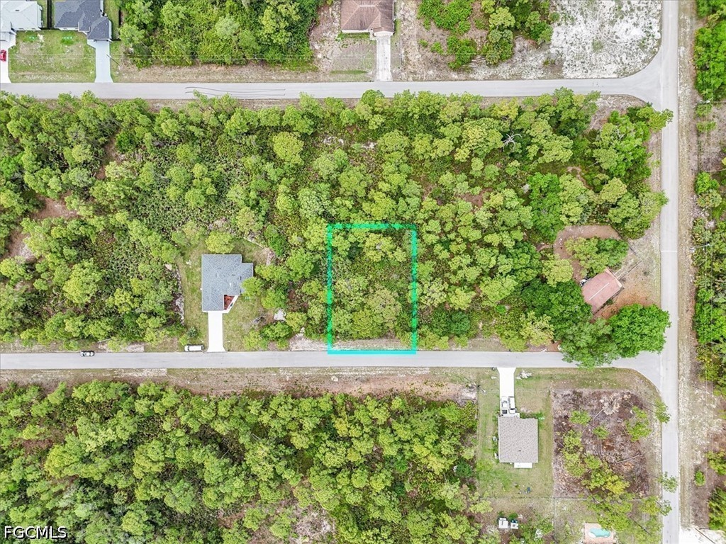 2117 Grayson Avenue Alva, FL 33920 - Photo 6 of 19 a view of a yard with plants in backyard
