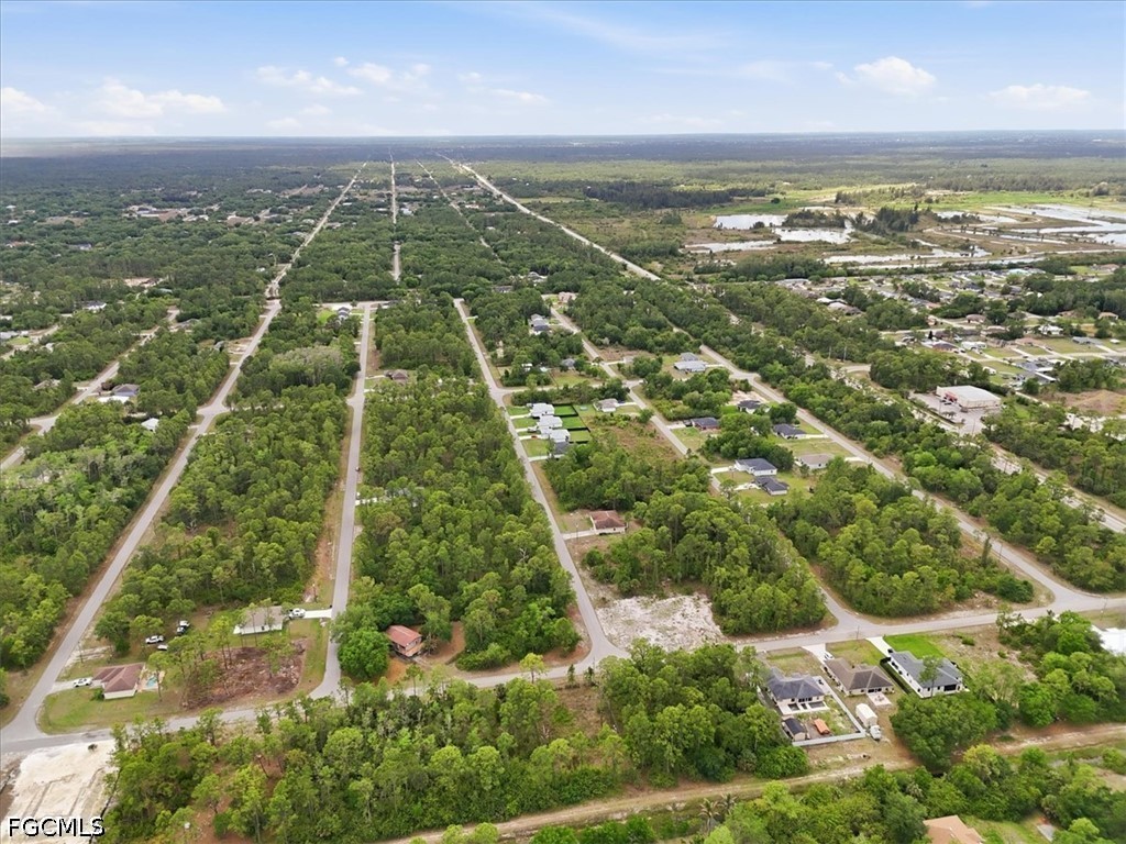 2117 Grayson Avenue Alva, FL 33920 - Photo 9 of 19 an aerial view of residential houses with outdoor space and trees