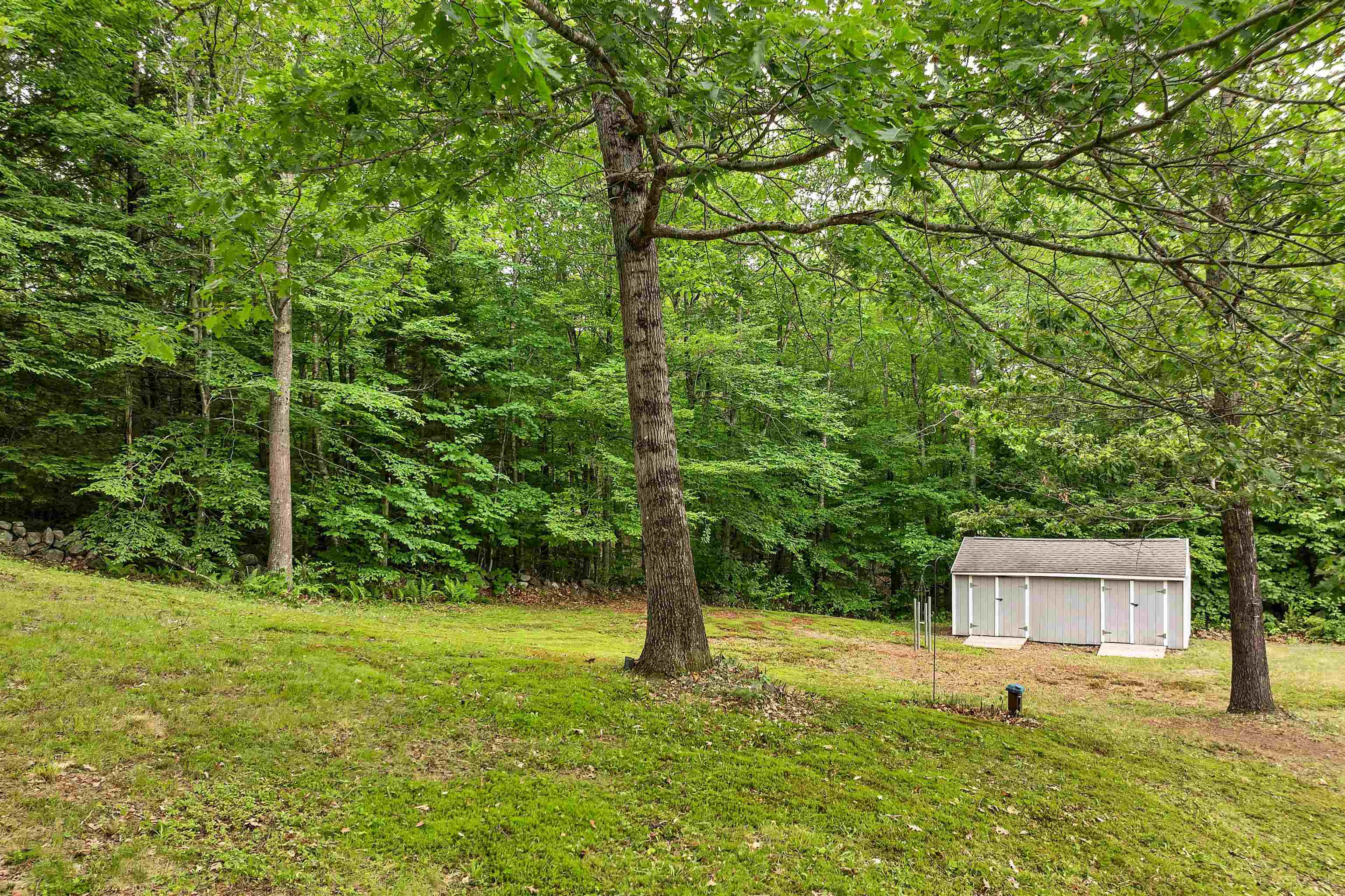 1400 Cass Mill Road Alexandria, NH 03222 - Photo 41 of 57 Gallery Image 41