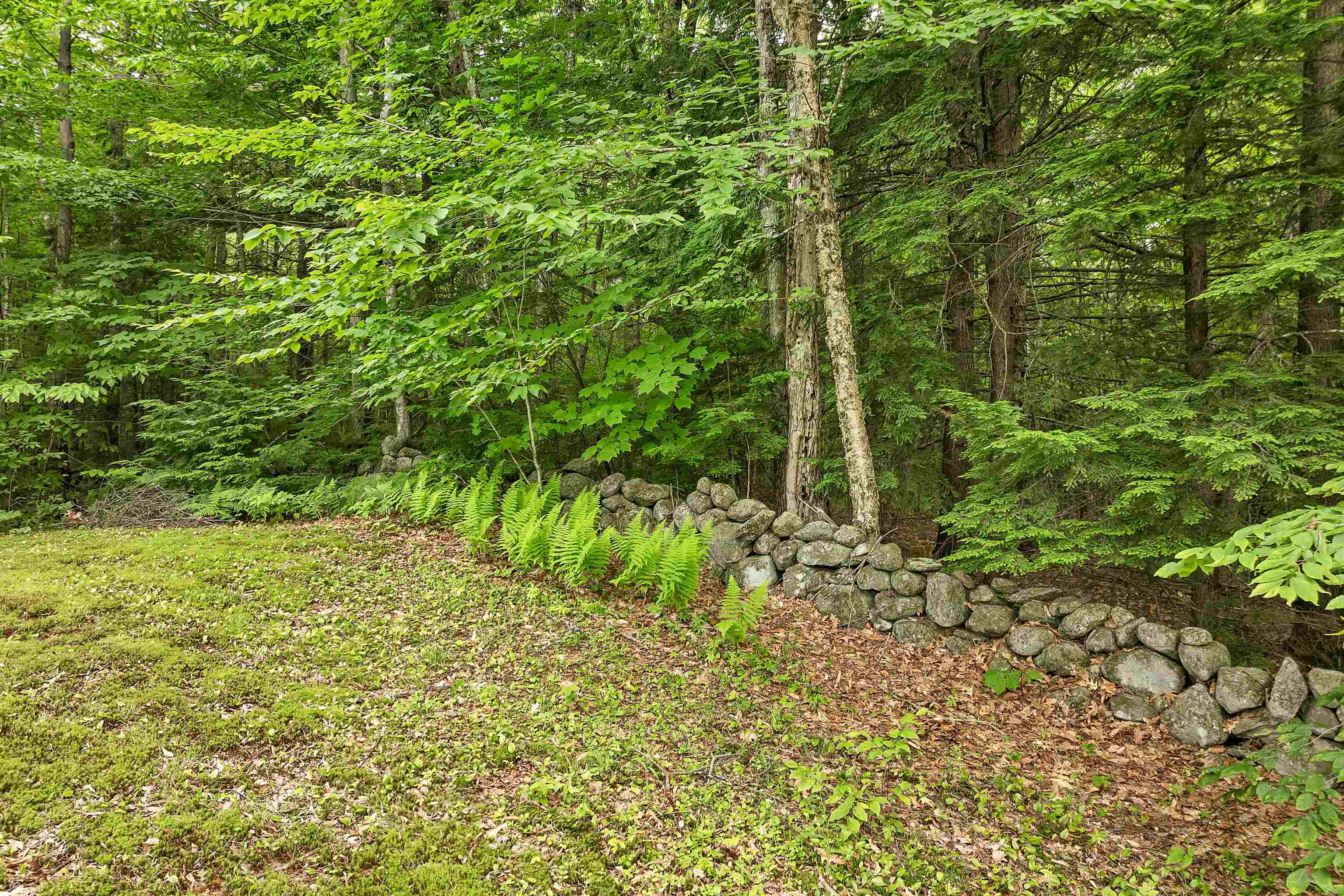 1400 Cass Mill Road Alexandria, NH 03222 - Photo 42 of 57 Gallery Image 42