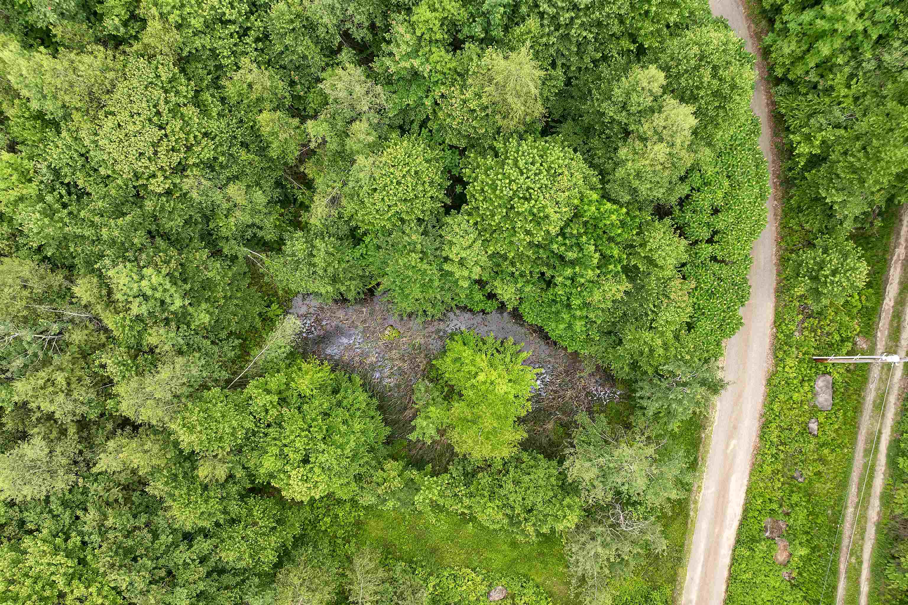 1400 Cass Mill Road Alexandria, NH 03222 - Photo 52 of 57 Gallery Image 52