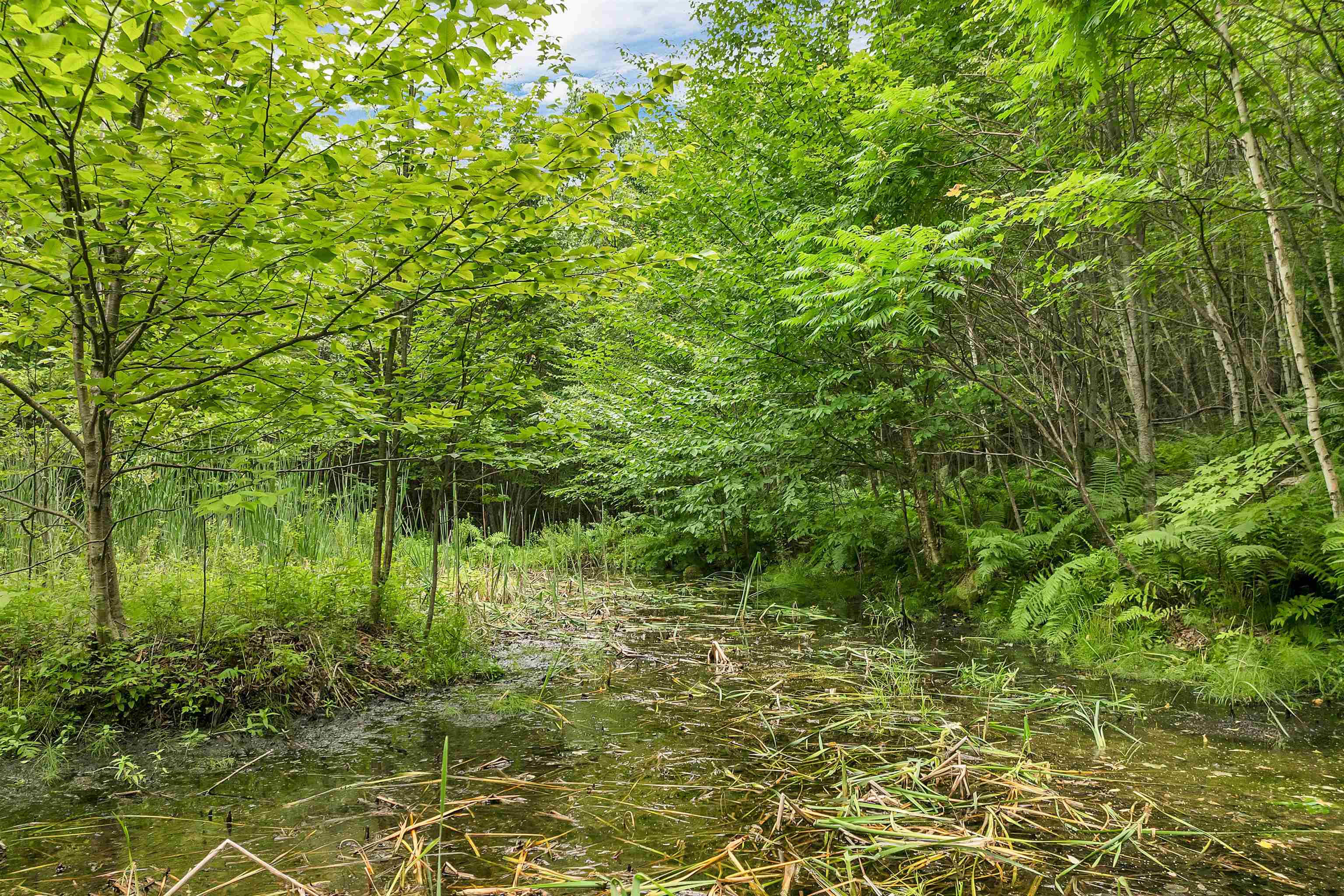 1400 Cass Mill Road Alexandria, NH 03222 - Photo 53 of 57 Gallery Image 53