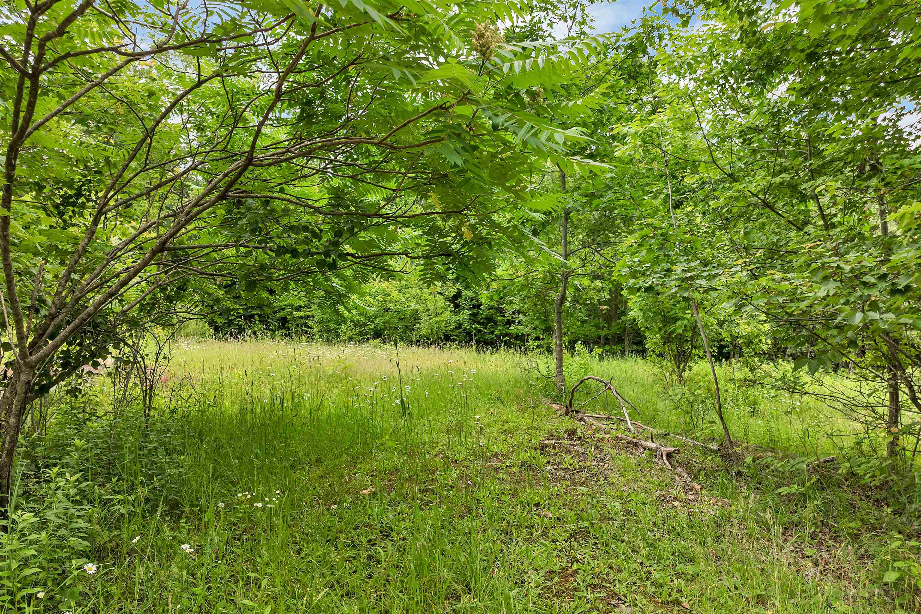1400 Cass Mill Road Alexandria, NH 03222 - Photo 54 of 57 Gallery Image 54