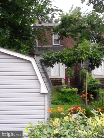 a view of a backyard with plants and large trees