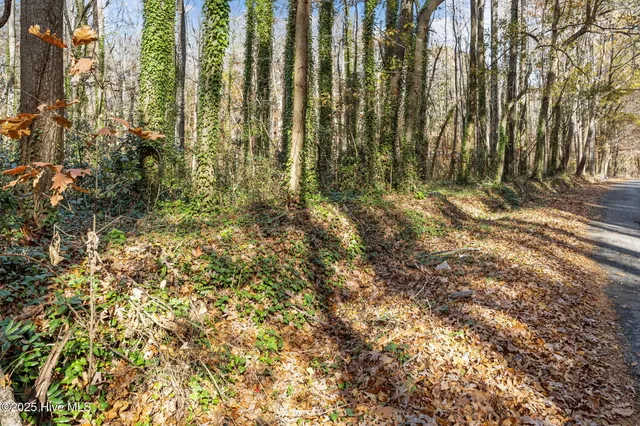 $27,000 | 0 Mcborn Street, Henderson, NC 27536