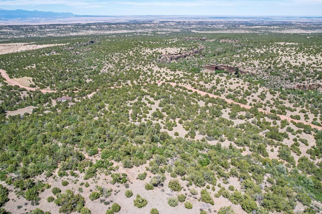 0 Siloam Road Beulah, CO 81023 - Photo 7 of 11