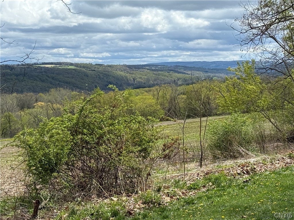 4454 Limeledge Road Marcellus, NY 13108 - Photo 3 of 24