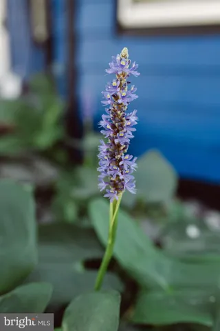 $260,000 | 115 Maple Avenue, Goldsboro, MD 21636