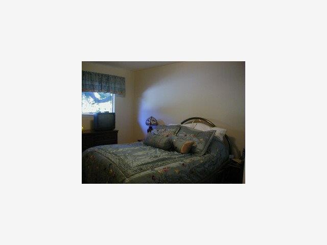 1115 South Stelling Road Cupertino, CA 95014 - Photo 2 of 9 Gallery Image 2
