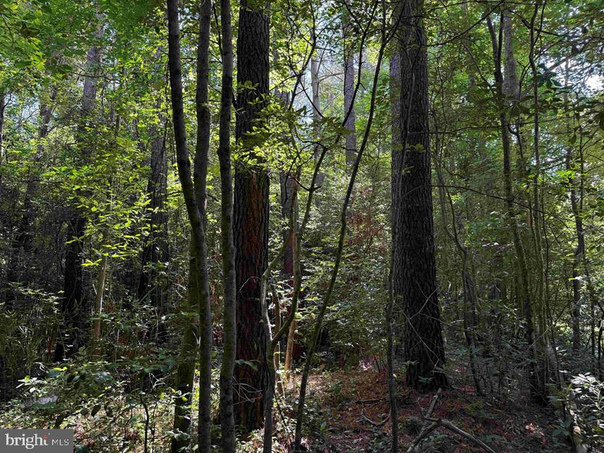 Sarecta Road Kenansville, NC 28349 - Photo 21 of 28