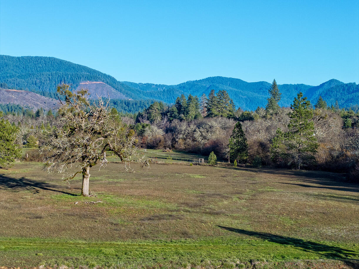 161 Sparky Way Cave Junction, OR 97523 - Photo 7 of 14 DJI_20251230152727_0066_D copy