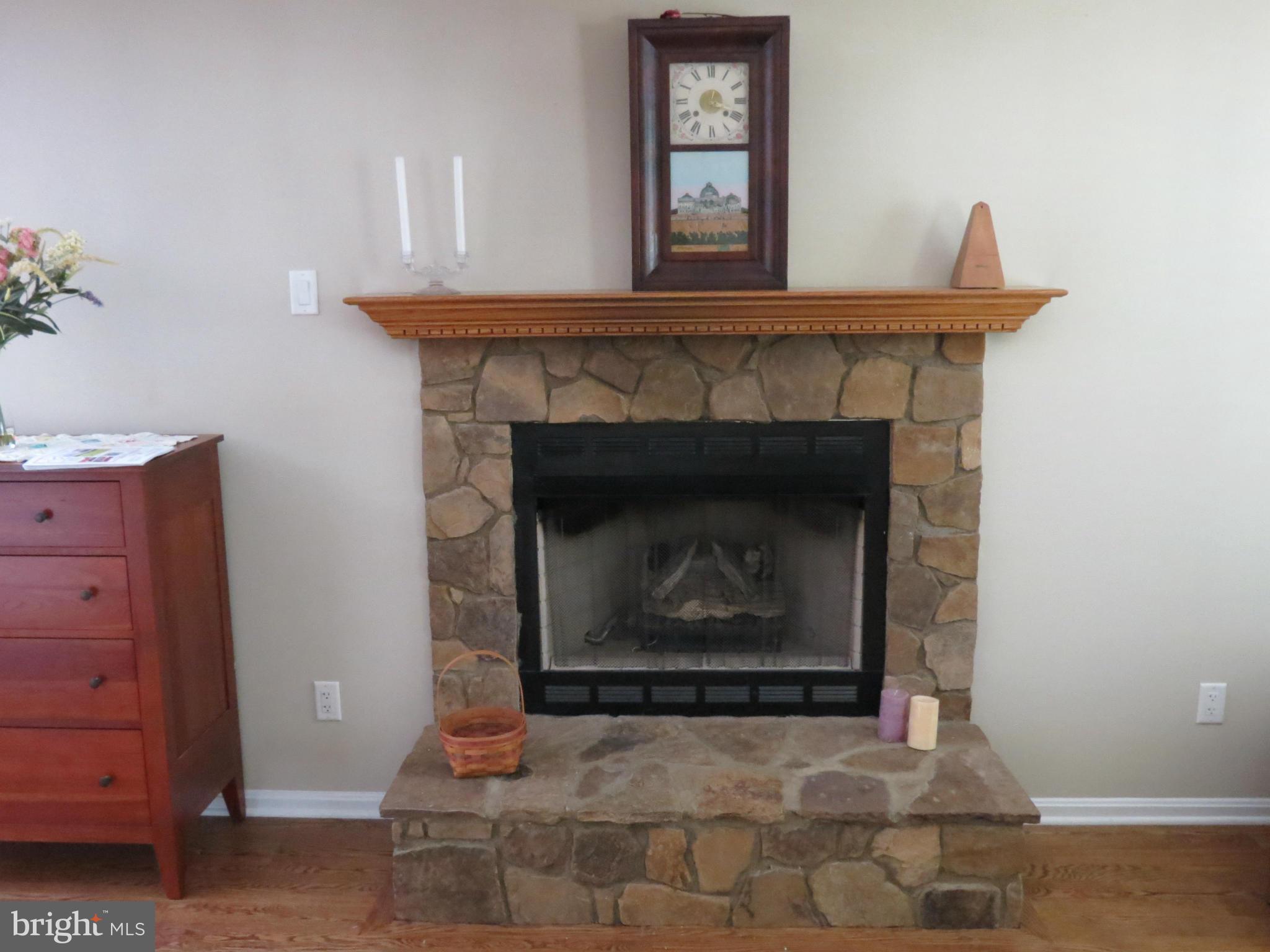 6028 Pilgrims Rest Road Broad Run, VA 20137 - Photo 16 of 29 Gas fireplace in LR