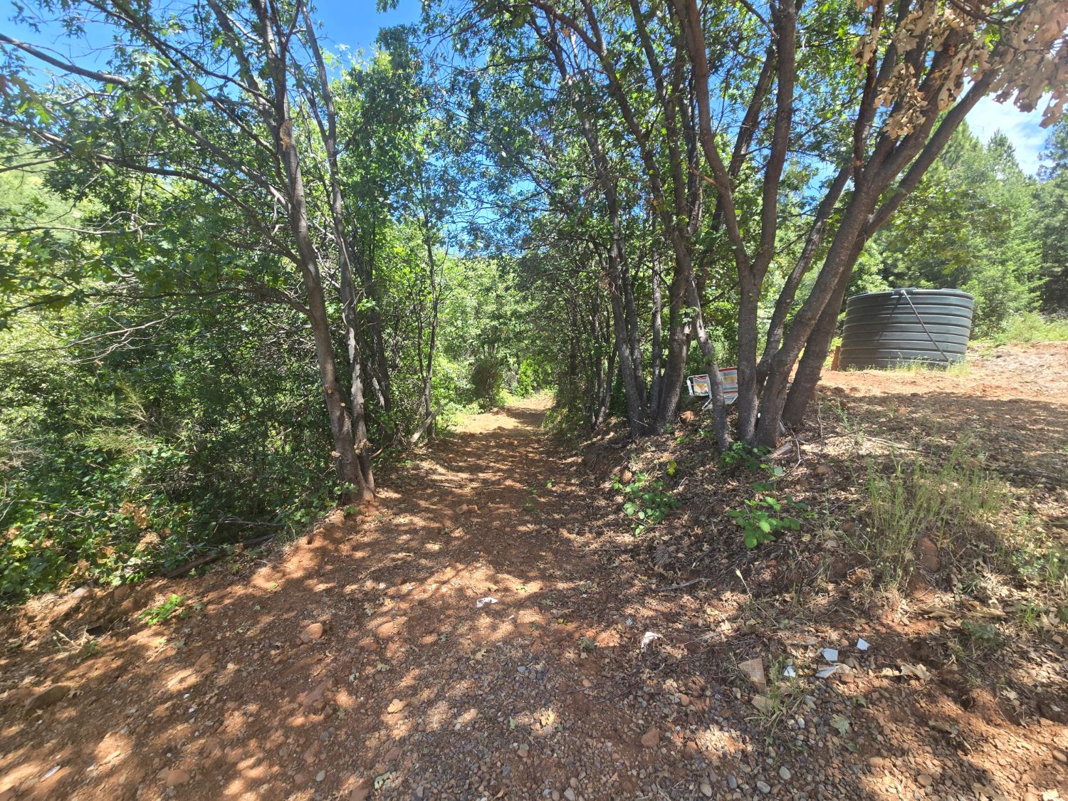 0 Maple Springs Trail Dobbins, CA 95935 - Photo 17 of 22