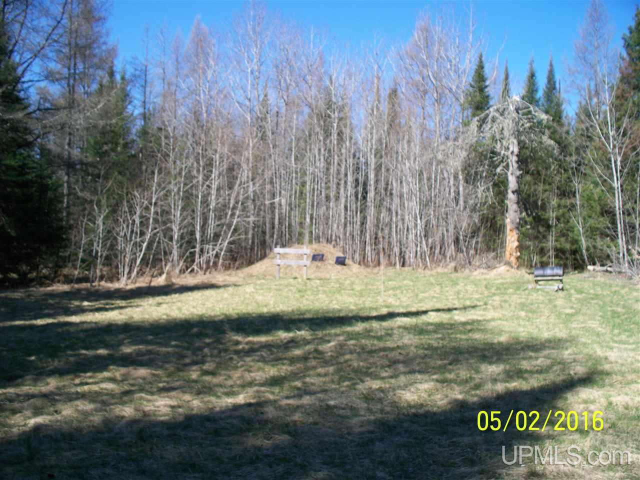 15001 Co Road Rock, MI 49880 - Photo 6 of 25