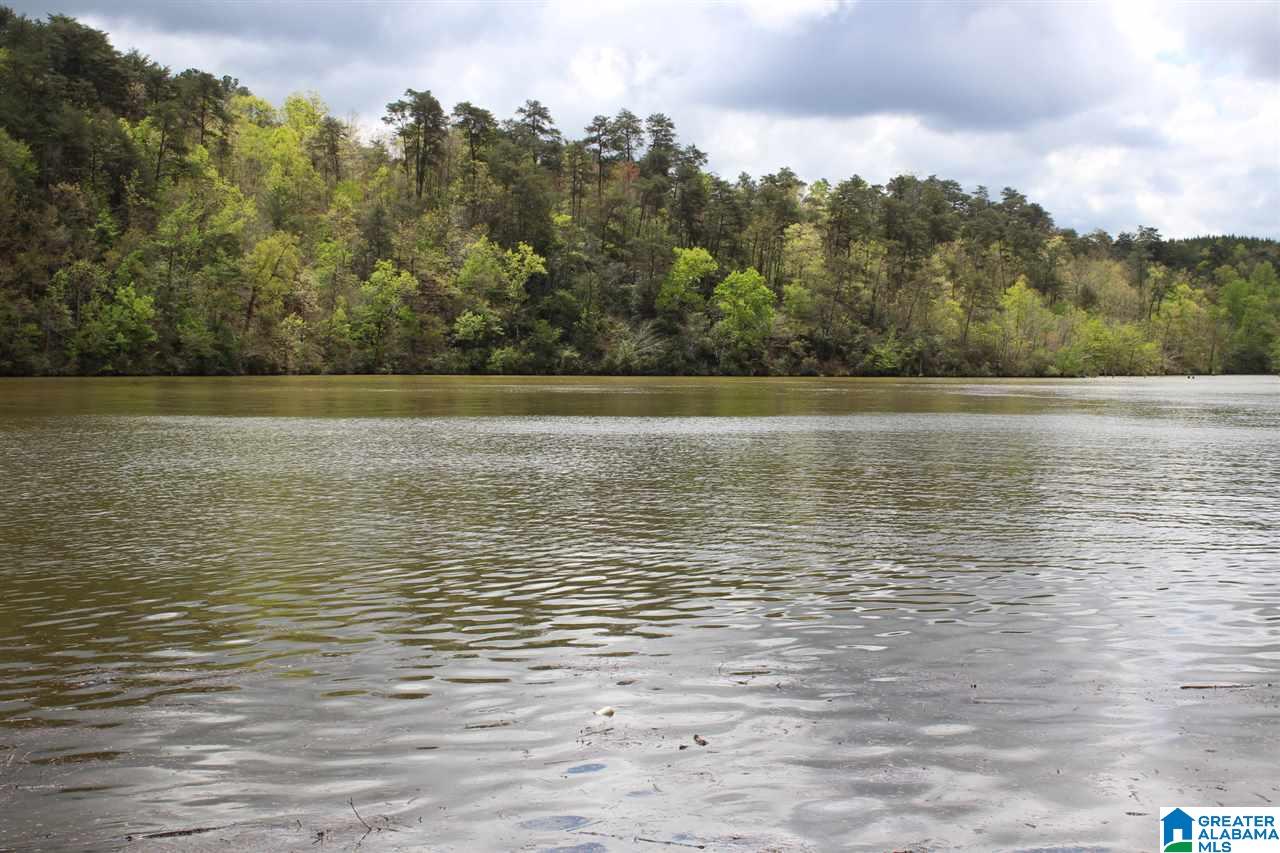 376 Ridge Road Shelby, AL 35143 - Photo 23 of 24