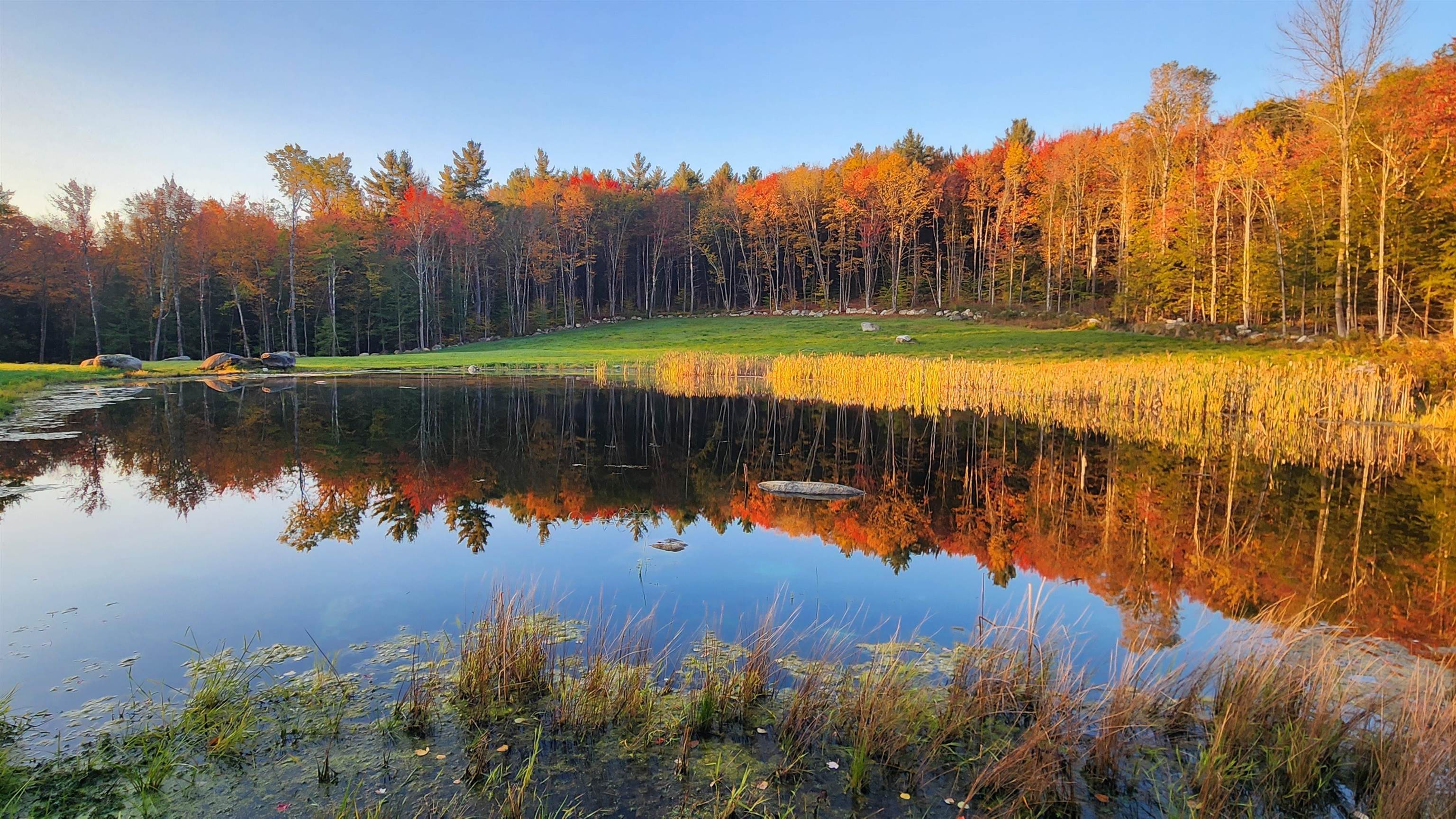 248 Gird Road Springfield, VT 05156 - Photo 49 of 52