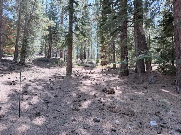 $200,000 | 0 Gold Dust Trail, South Lake Tahoe, CA 96150
