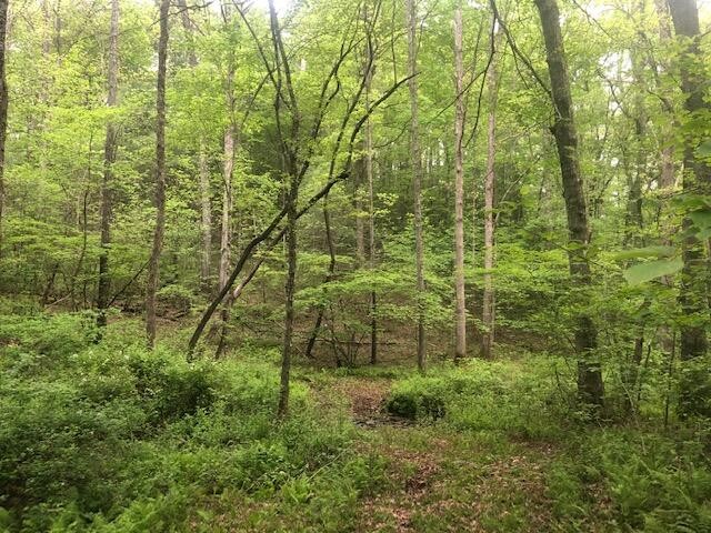 887 Swicegood Road Crossville, TN 38571 - Photo 15 of 19