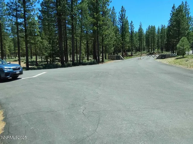 a view of a field with trees in the background