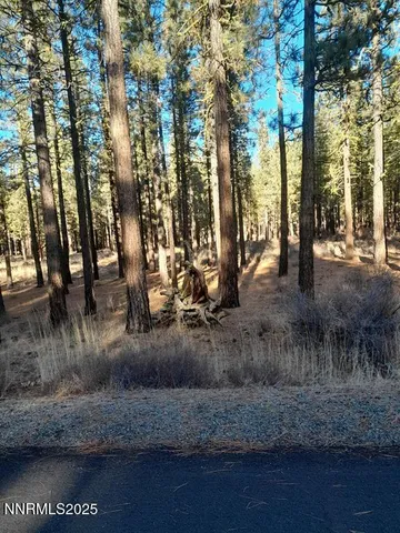 a view of a yard with large trees