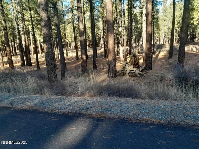a view of outdoor space and covered with trees