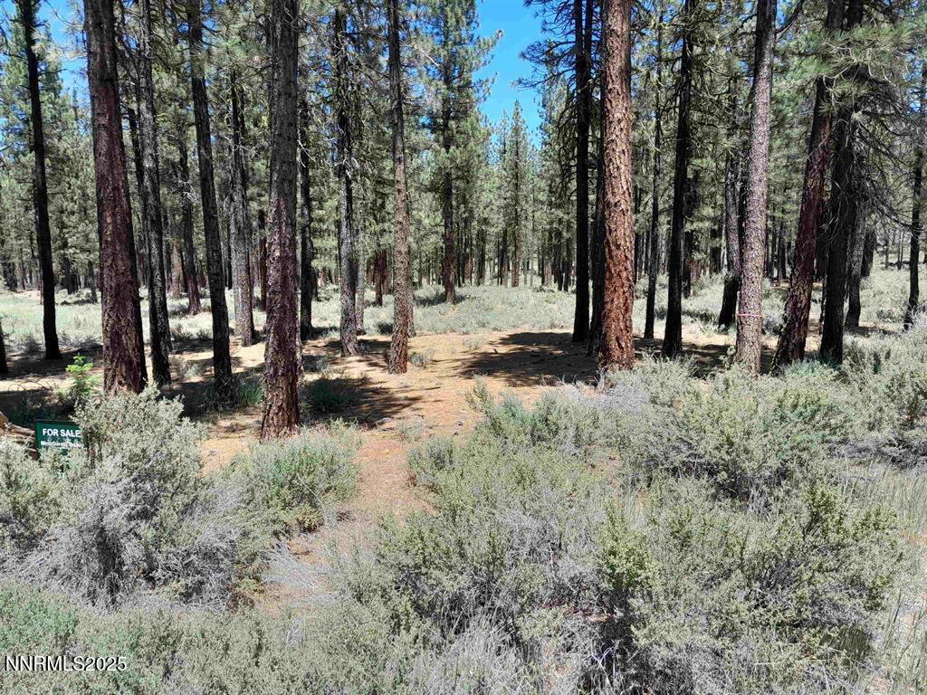 202 Village Trail, Unit 36 Clio, CA 96106 - Photo 5 of 12 a backyard of a house with lots of green space