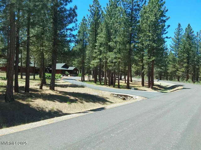 a view of a park that has large trees