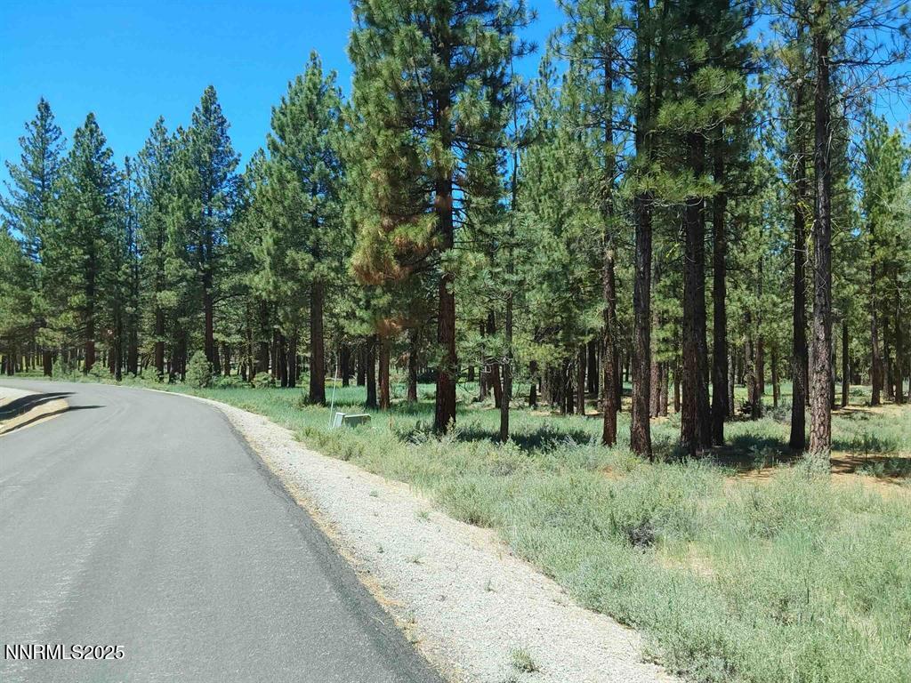 202 Village Trail, Unit 36 Clio, CA 96106 - Photo 7 of 12 a view of a park that has large trees