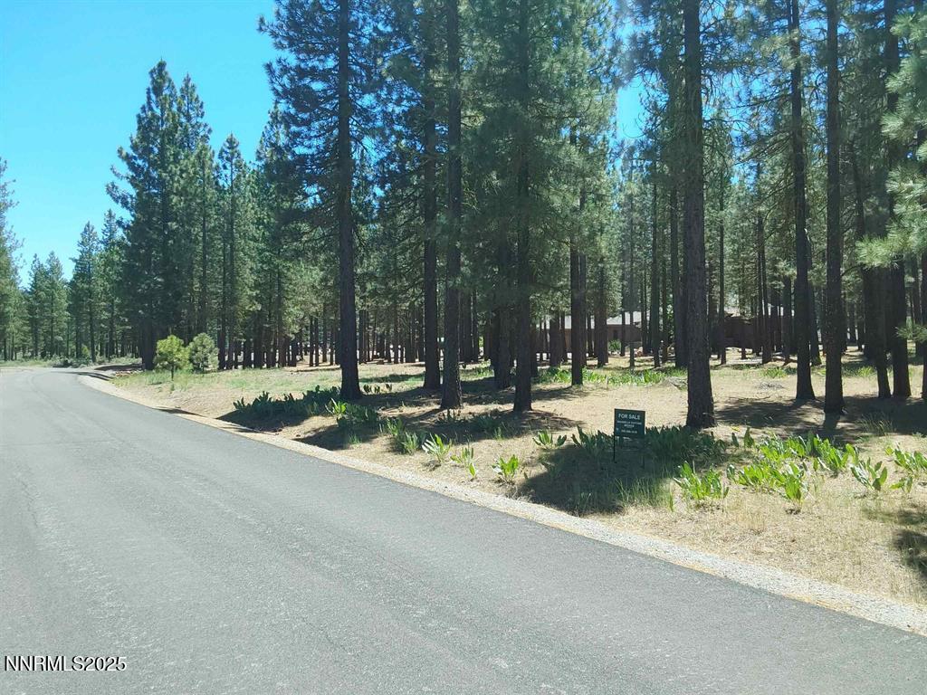 202 Village Trail, Unit 36 Clio, CA 96106 - Photo 8 of 12 a view of a park with tree s