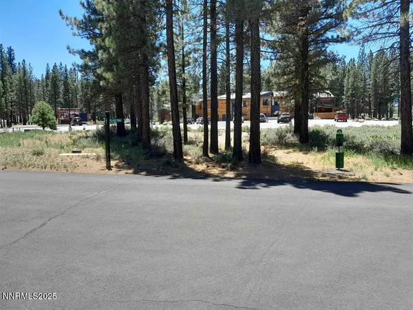 a view of a road with a yard