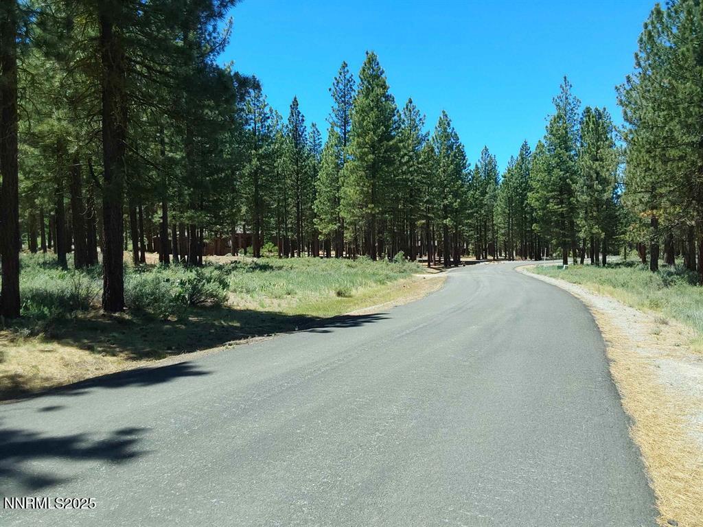 202 Village Trail, Unit 36 Clio, CA 96106 - Photo 10 of 12 a view of a road with a yard