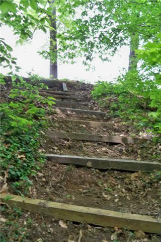 605 Bryan Road Clarksville, TN 37043 - Photo 12 of 20