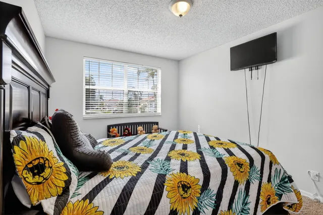 a view of a yard with plants