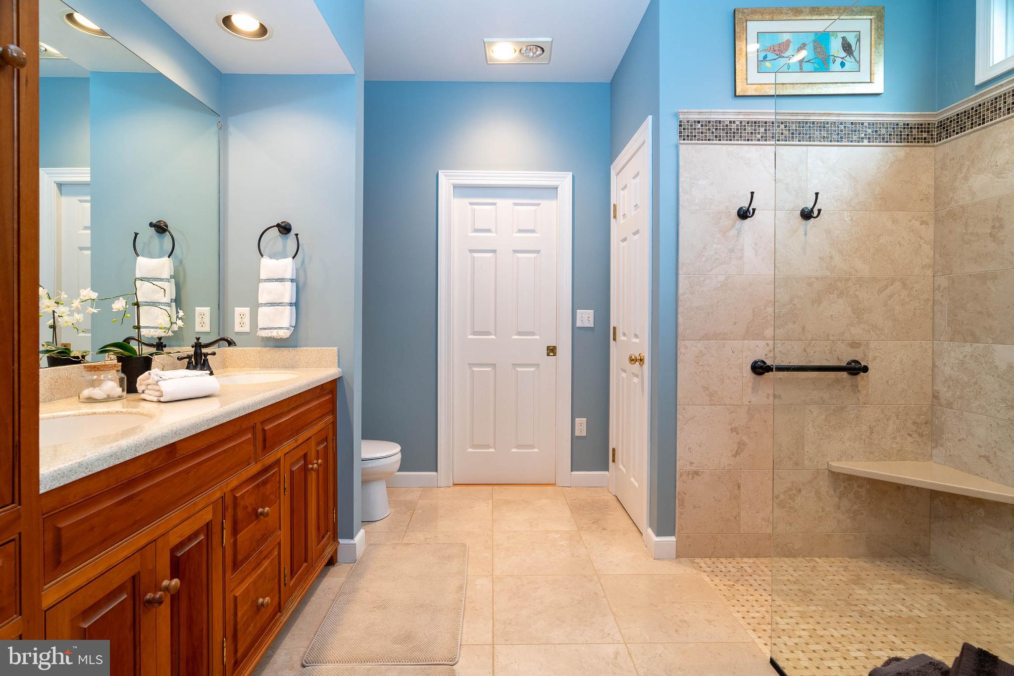 114 East 4th Avenue Lititz, PA 17543 - Photo 25 of 57 Master bath